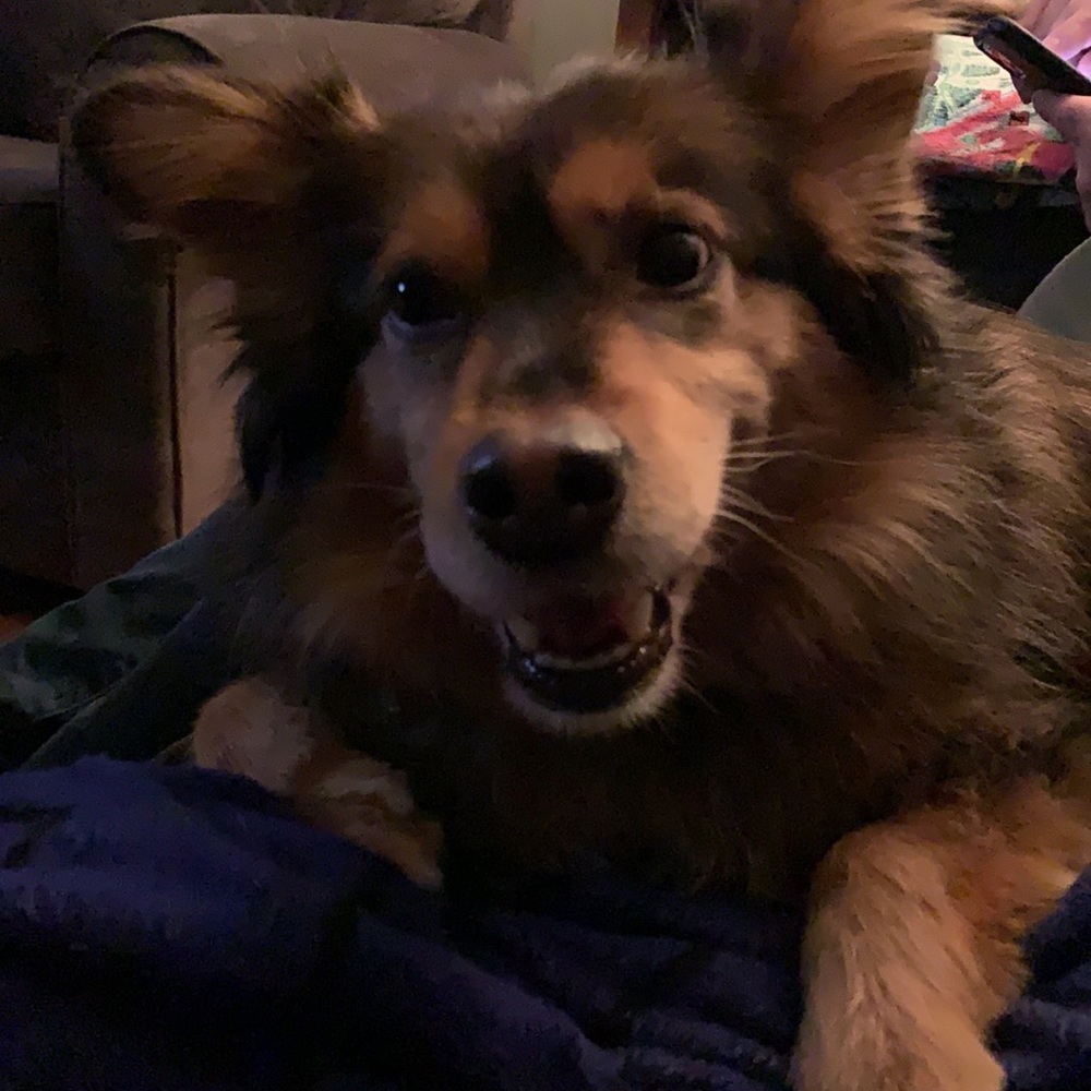 Meet your Posher, Kelly